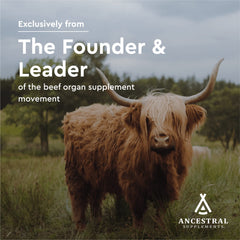 Pasture-field imagery for Ancestral Supplements beef pancreas sourcing, emphasizing natural pasture-raised origins