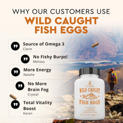 Ancestral Supplements Wild Caught Fish Eggs capsules arranged for daily use
