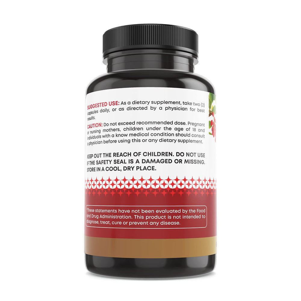 Graphic illustrating metabolism and daily wellness support