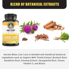 Liver detox concept illustration