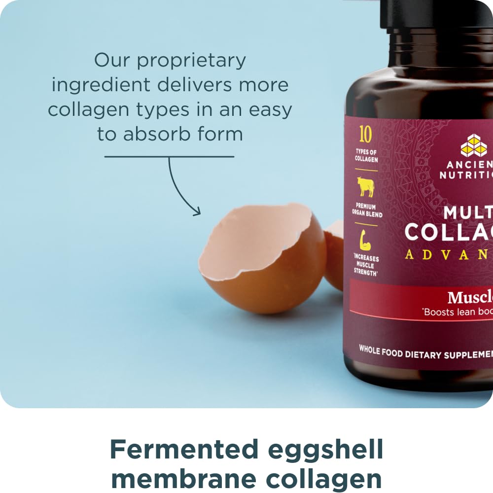Ancient Nutrition capsules on gym bench supporting workout consistency.