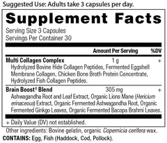 Capsules close-up showing an easy daily dose in Ancient Nutrition Collagen Brain Boost.