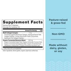 Ancient Nutrition collagen types graphic highlights collagen I, II, III, V and X.