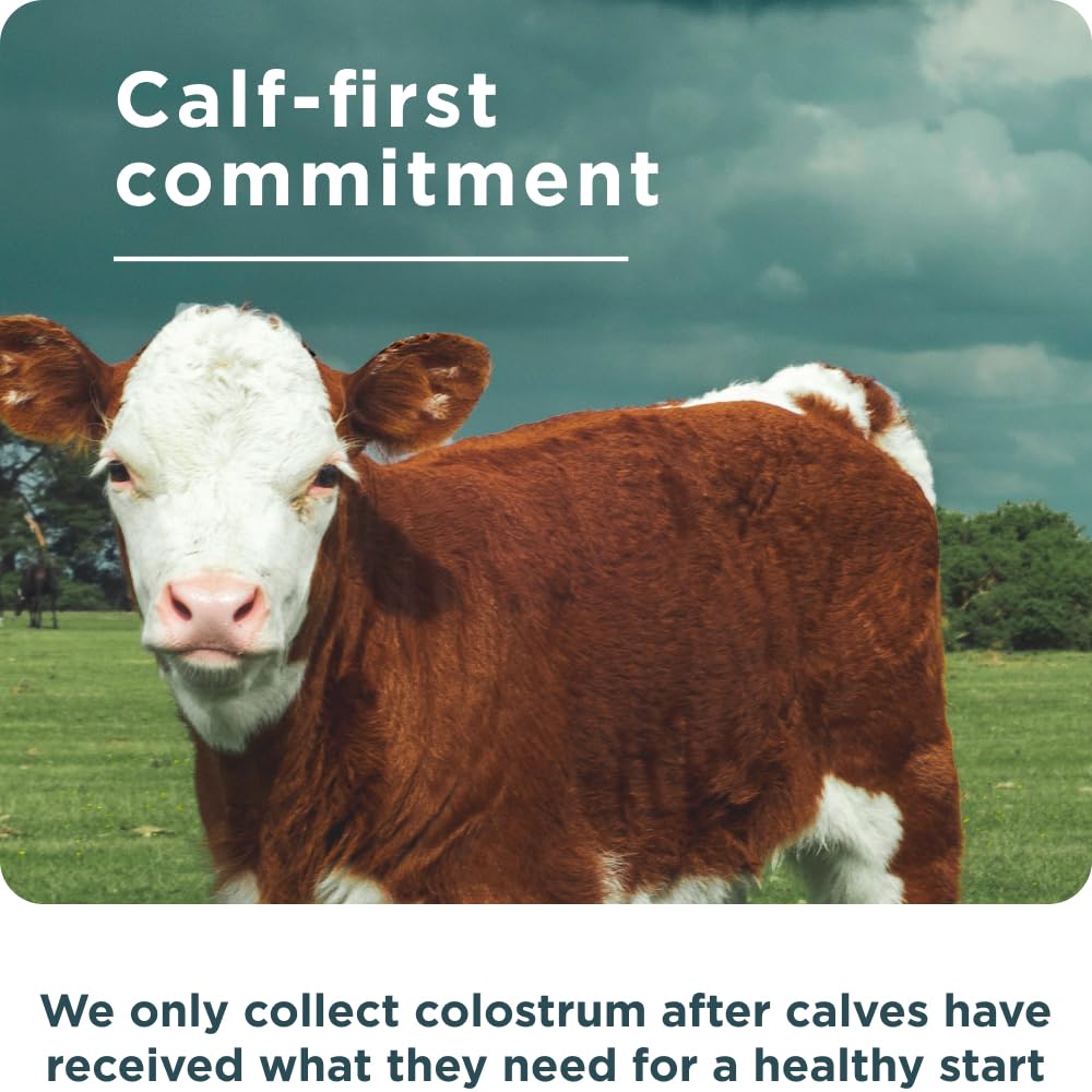 Graphic highlighting lactoferrin, probiotics, IgG, and IgA