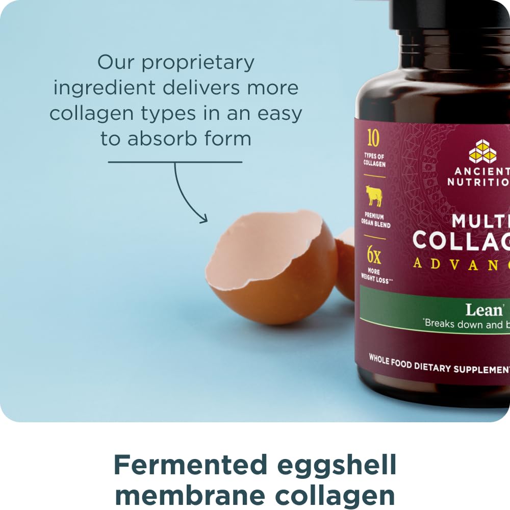 Hydrolyzed collagen peptides and fermented eggshell membrane illustration