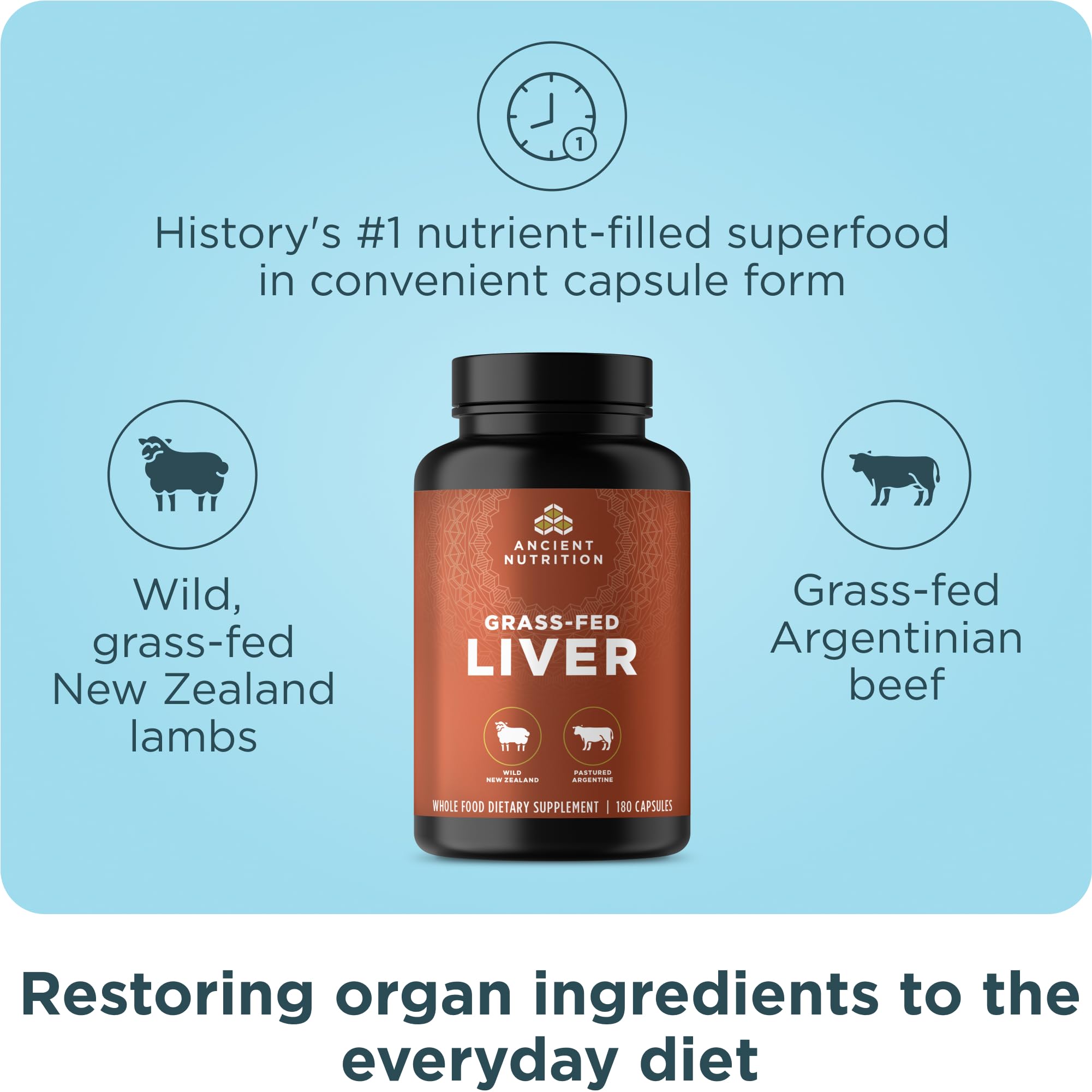 Grass-fed bovine liver organs sourced from Argentina
