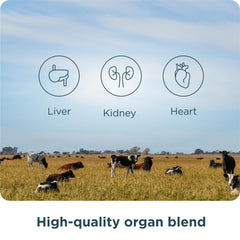Ancient Nutrition Organ Supplements Icelandic wild lamb organs on label close-up.