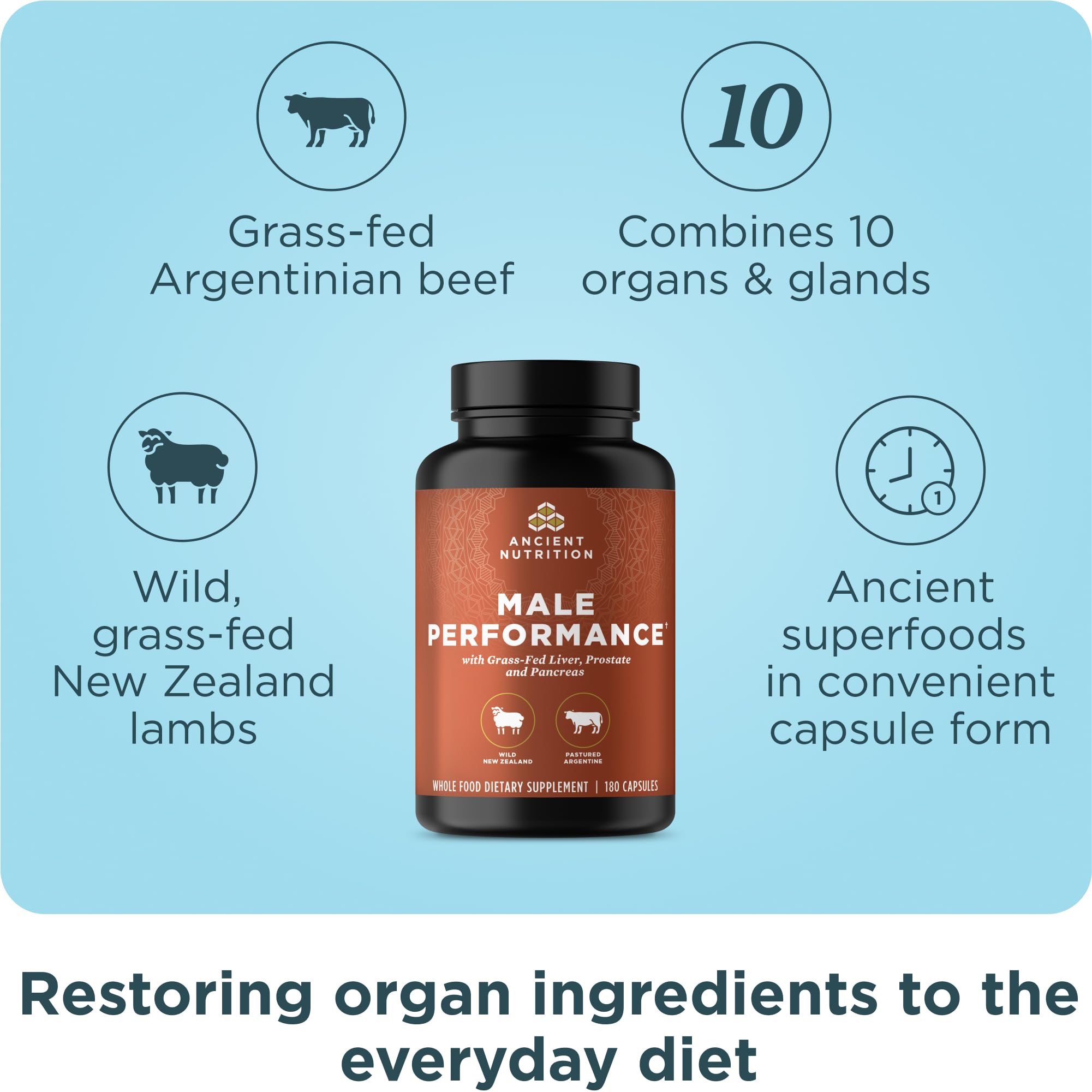 Ancient Nutrition Organs Complex pancreas capsule supports everyday digestion routine.
