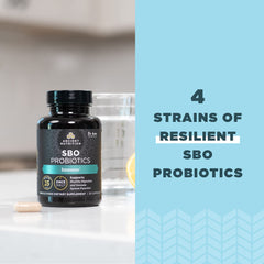 Graphic showing soil-based probiotic strains