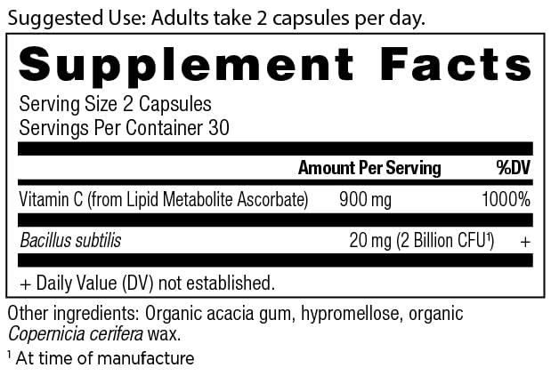 Probiotic blend with 2 Billion CFU illustration