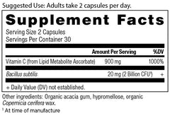 Probiotic blend with 2 Billion CFU illustration