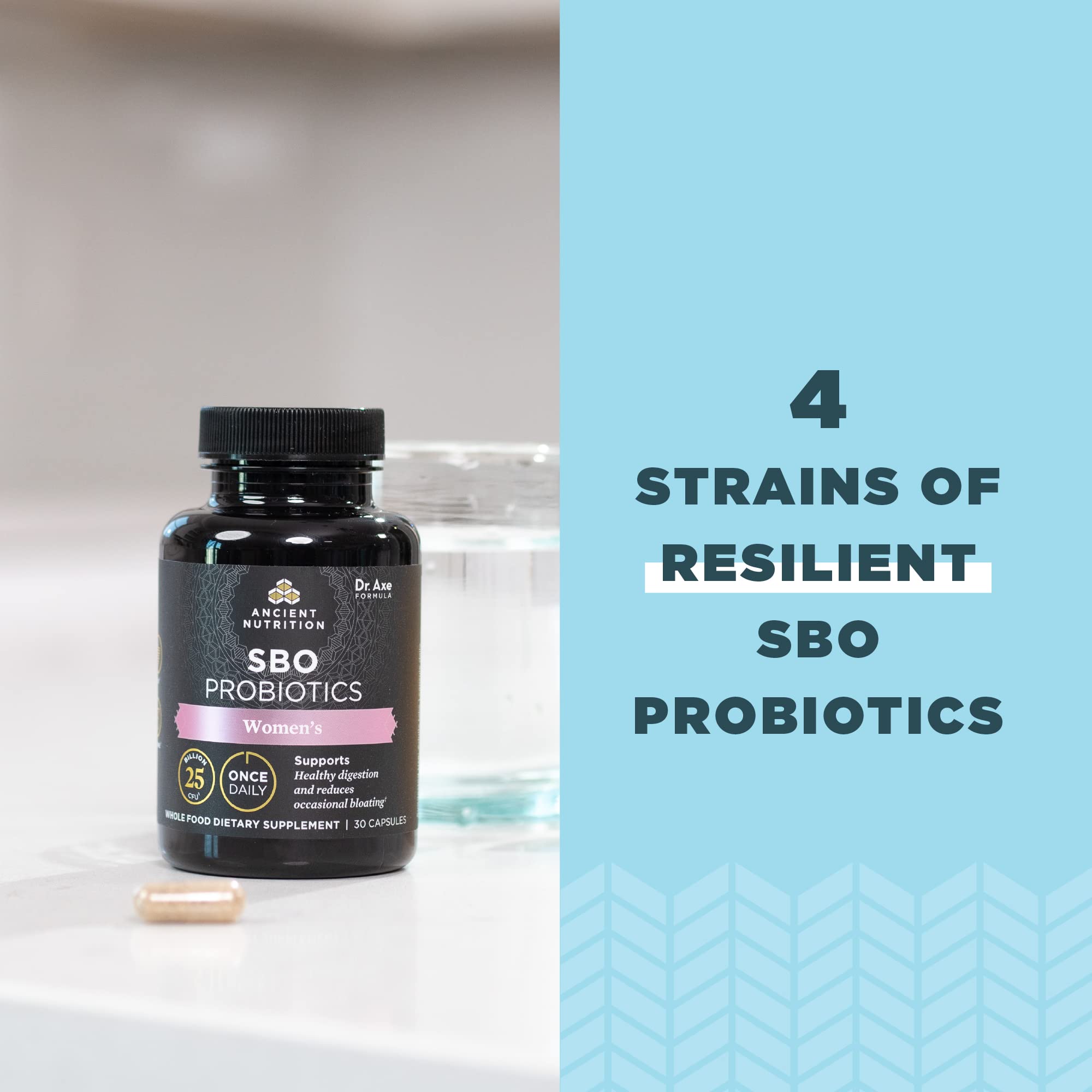 Digestive support and reduced bloating illustration