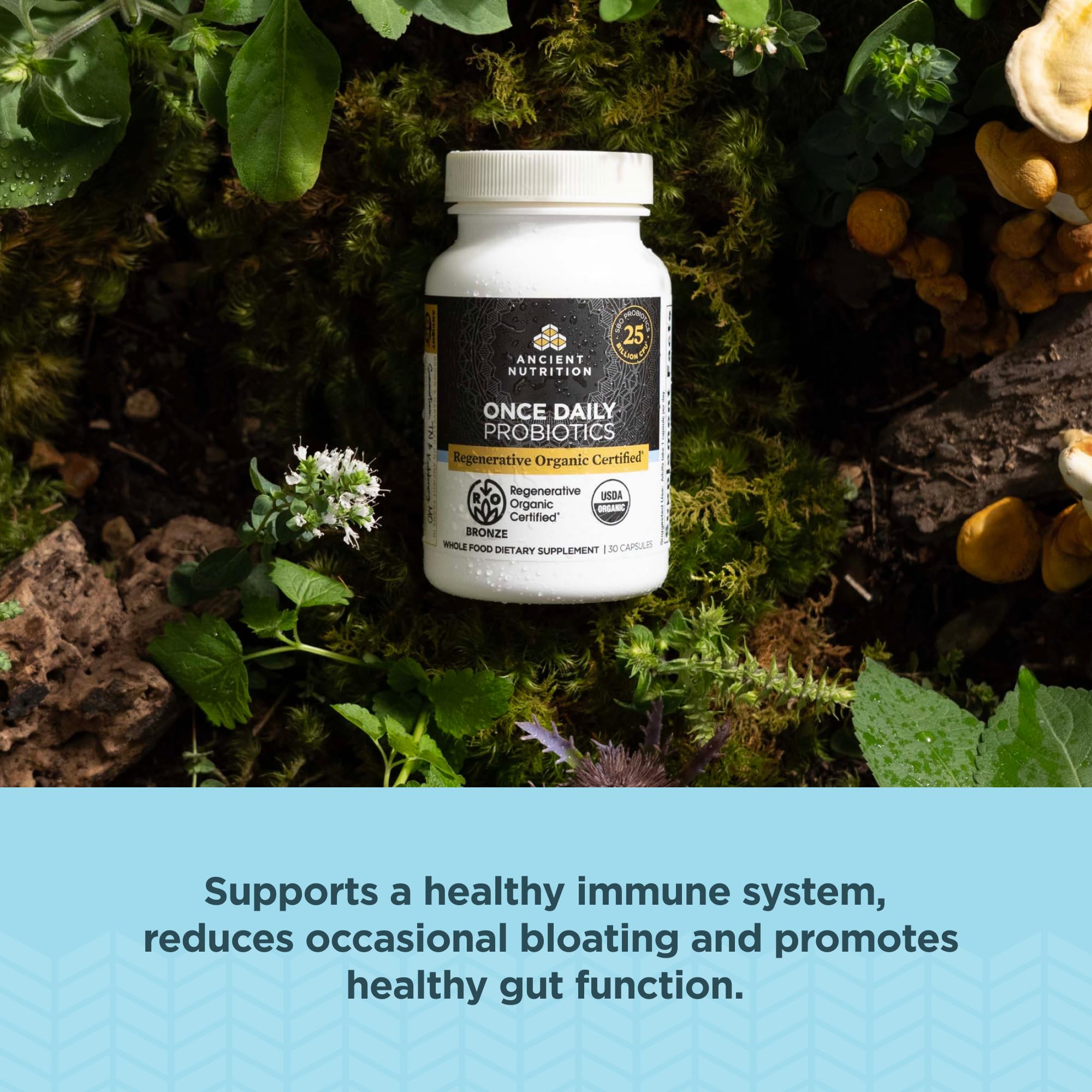 Illustration showing 30 probiotic strains for the product