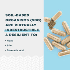 Ancient Nutrition SBO Gut Restore bottle with glass of water for daily use.