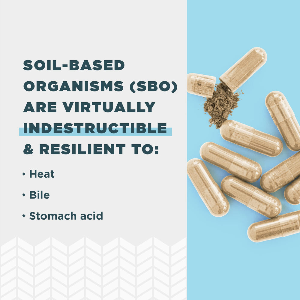 Organic fermented botanical blend in SBO Gut Restore