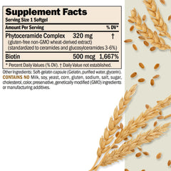 Andrew Lessman PhytoCeramides 30 Softgels bottle