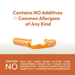 ANDREW LESSMAN Turmeric 400mg supports joint comfort and digestive wellness in daily use.