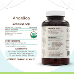 Dried Angelica root capsules - Angelica archangelica
