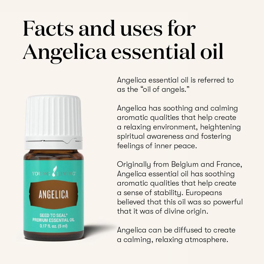 Angelica massage oil application with Young Living for relaxing sessions.