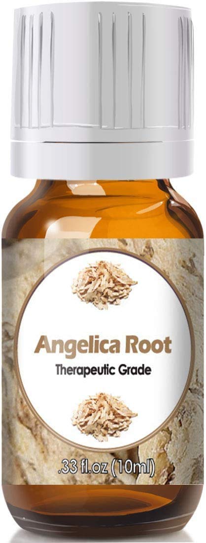 Angelica Root Essential Oil 10ml amber glass bottle with euro style dropper