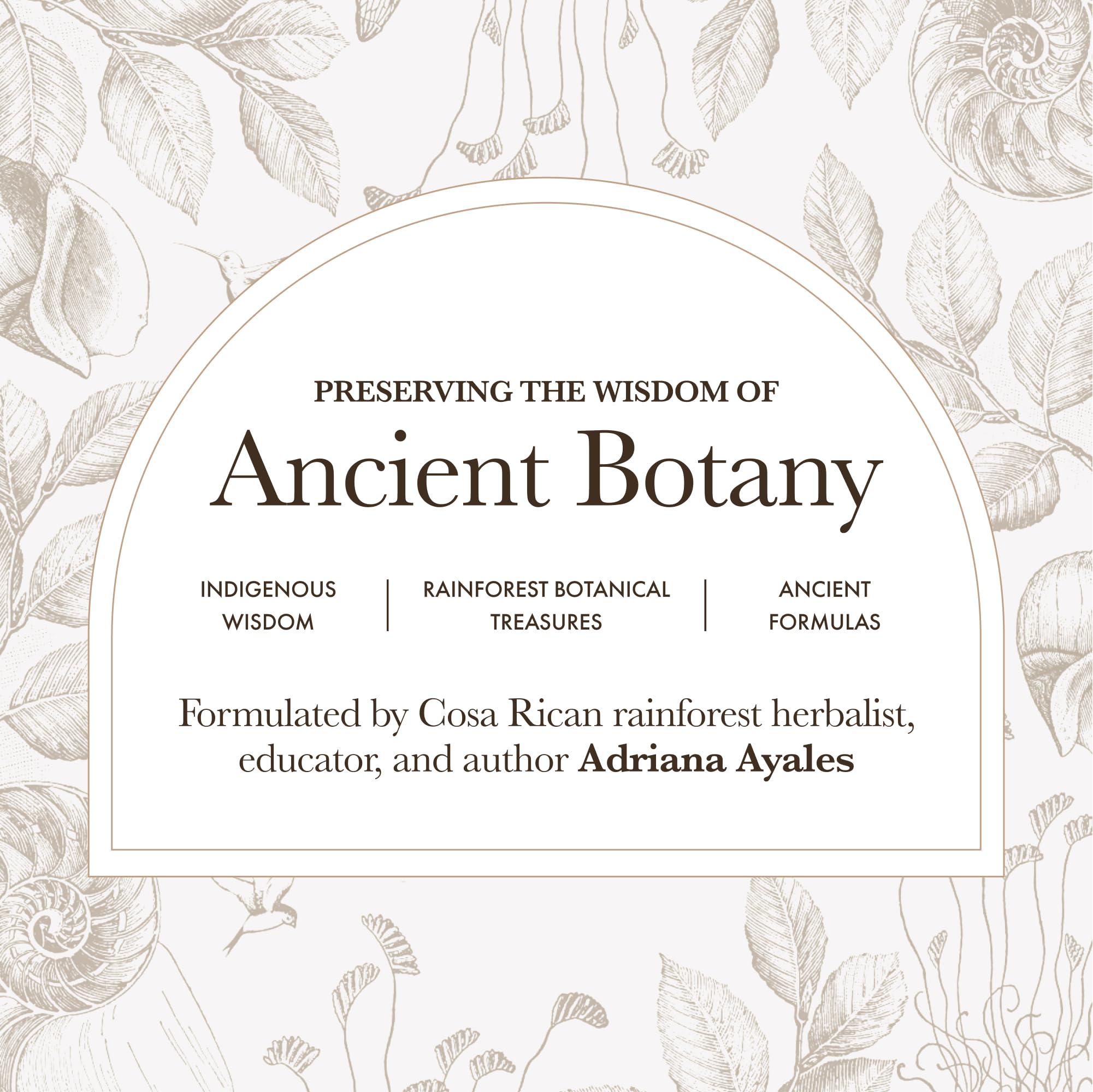 Product label showing Anima Mundi Qi Energy & Protein Powder