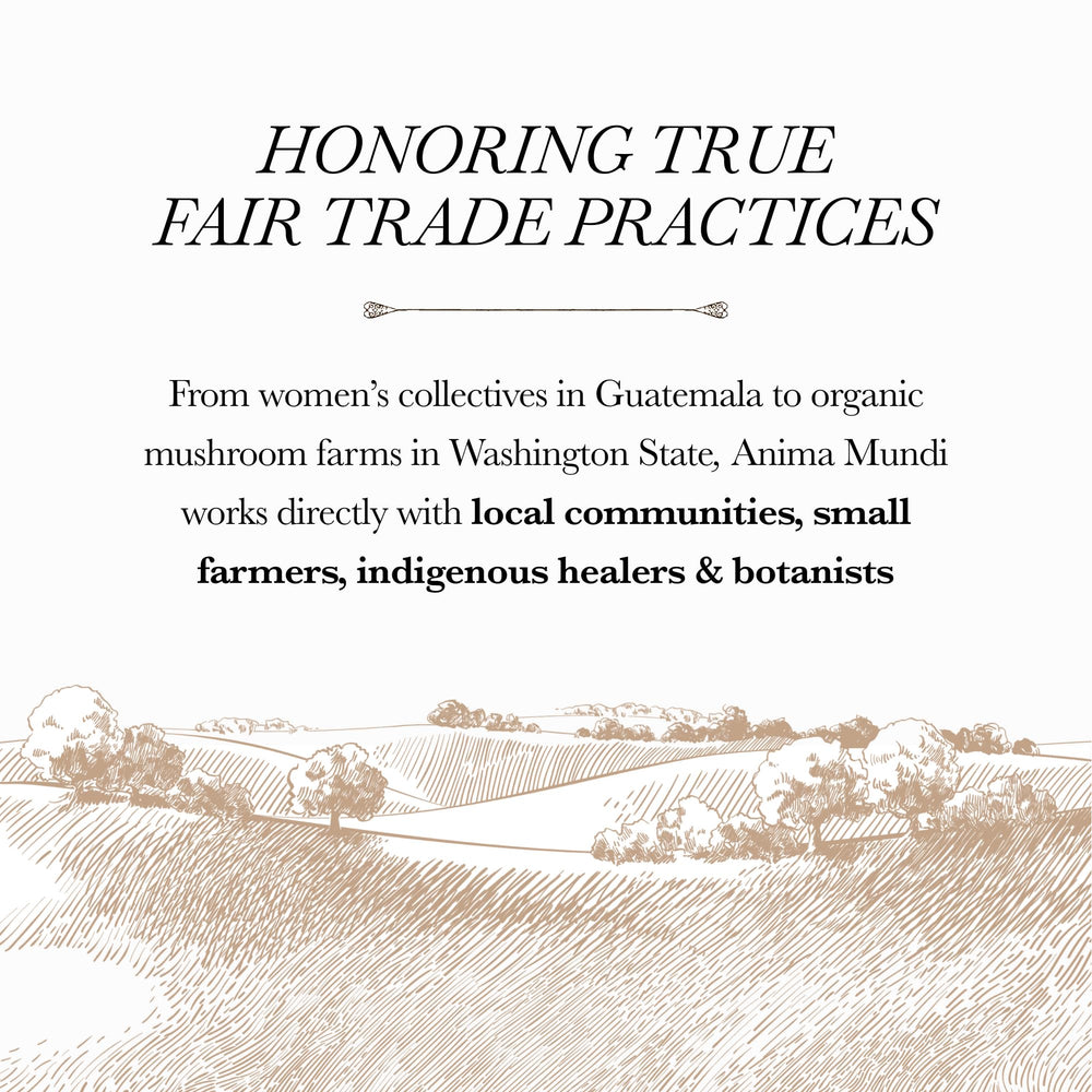 Powder being stirred into a glass or smoothie