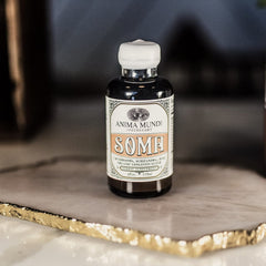 Chaga mushroom used in the Soma 7 Mushroom Elixir
