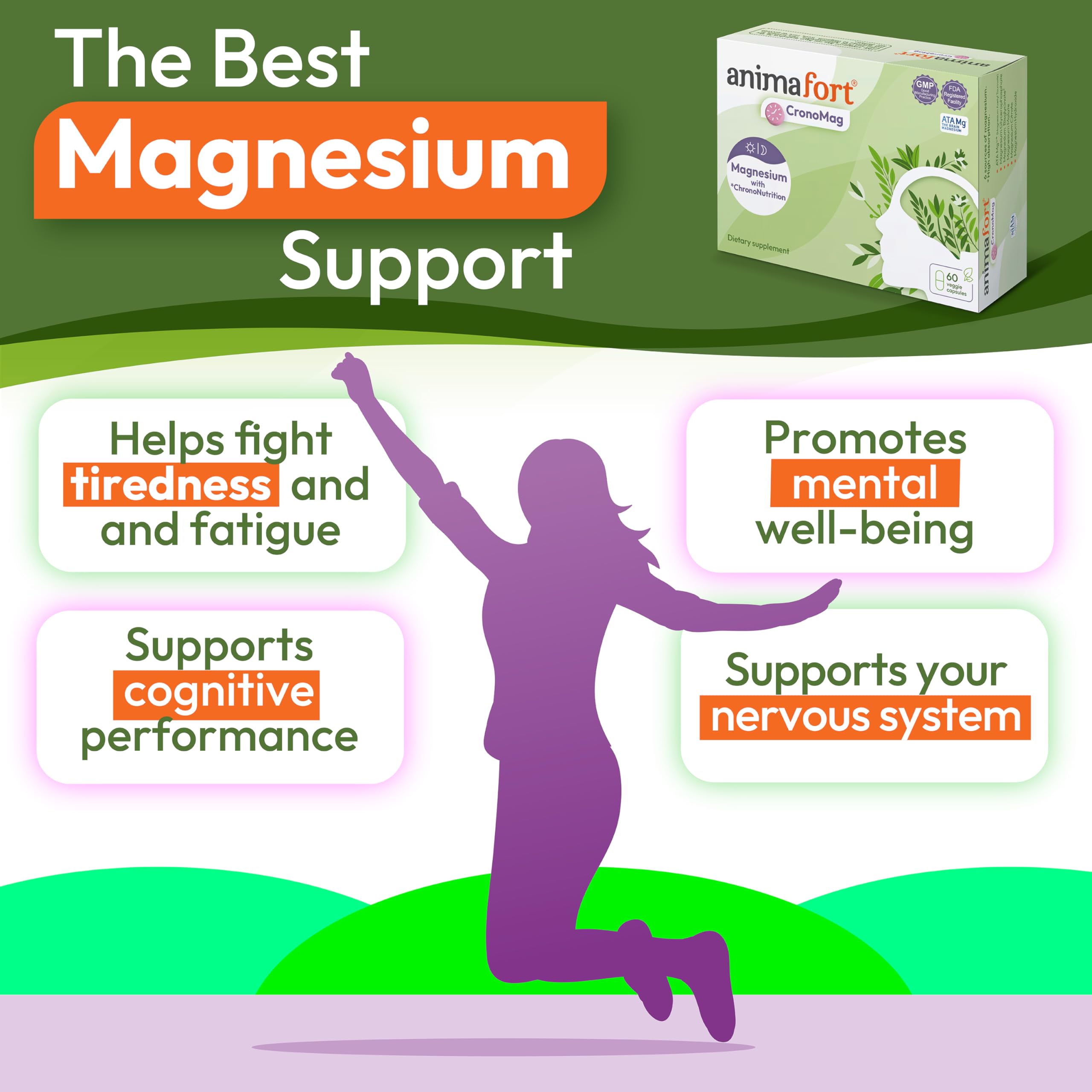 Morning capsule ingredients: Mg glycerophosphate, malate, AtaMg, hydroxide with B vitamins and minerals