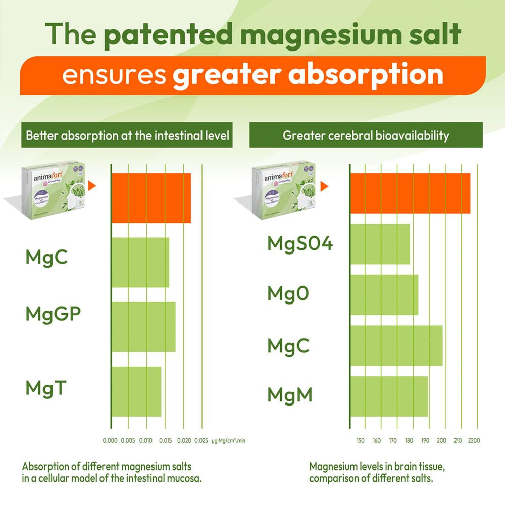 Night capsule ingredients: Mg bisglycinates, citrate, AtaMg, hydroxide with B vitamins and minerals