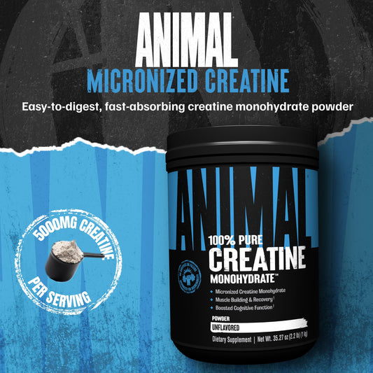 Unflavored creatine monohydrate powder packaging with scoop
