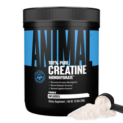 Front view of Animal Creatine Monohydrate Powder 300g