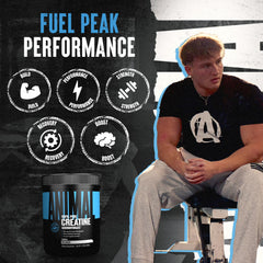Micronized creatine monohydrate powder texture
