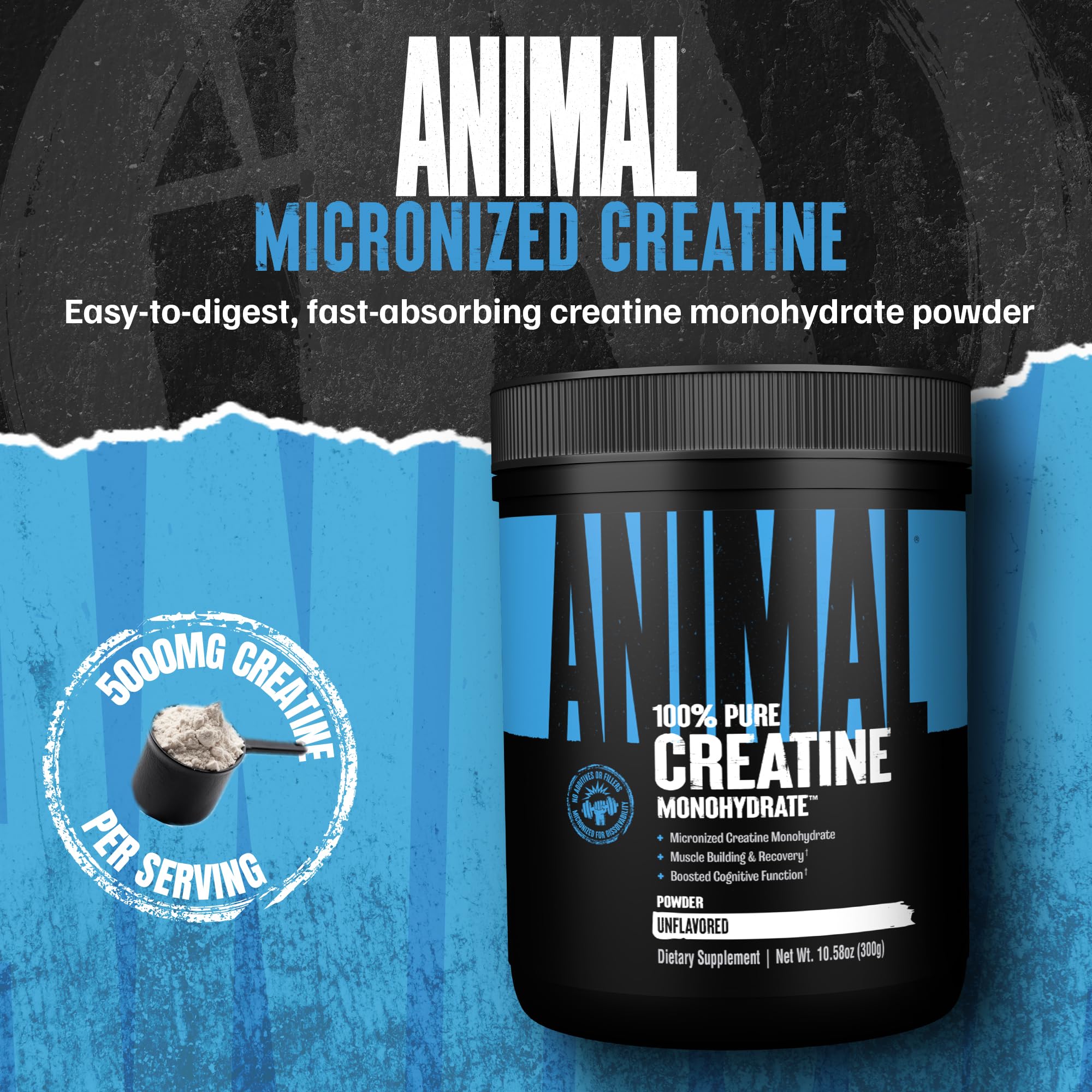 Scoop of Animal Creatine Monohydrate powder