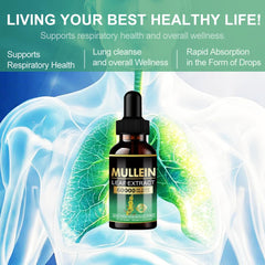 Mullein leaf extract close-up for lung health