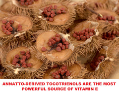 Close-up of ground annatto seed powder