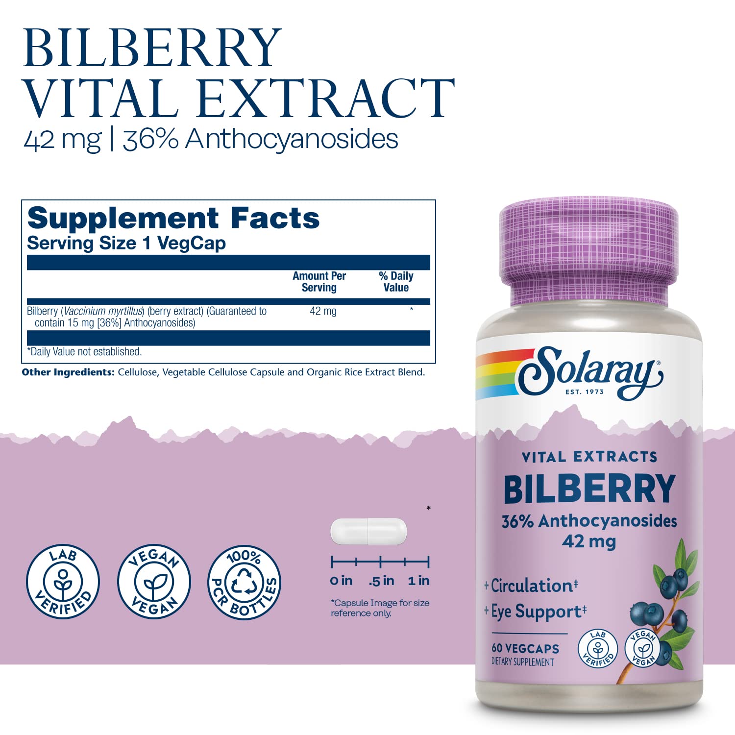 Graphic showing 36% bilberry anthocyanosides