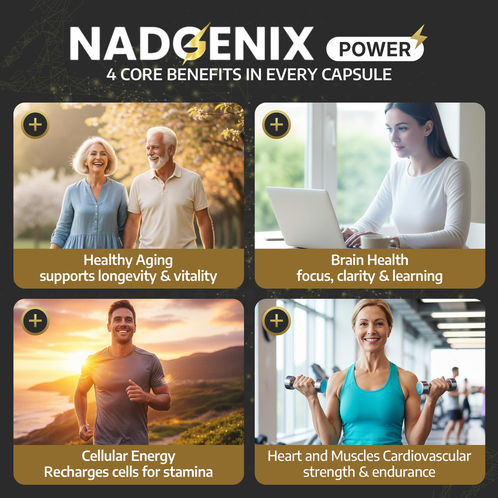 Anti-aging support and DNA repair concept