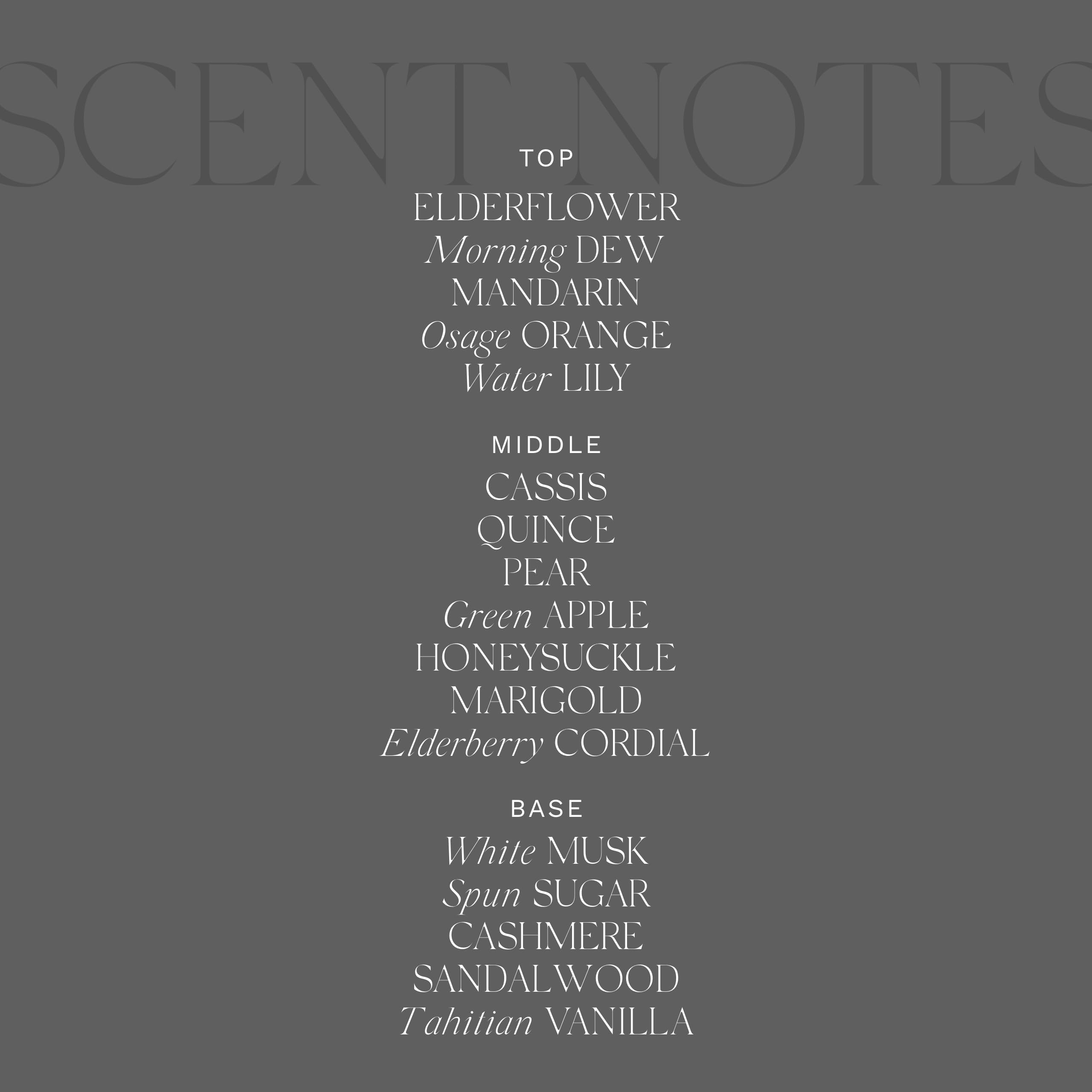 Reed diffuser reeds and bottle in scene