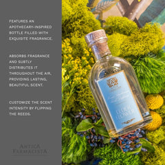 Elegant elderflower diffuser in premium gift box