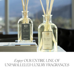 Studio shot highlighting long-lasting scent and design