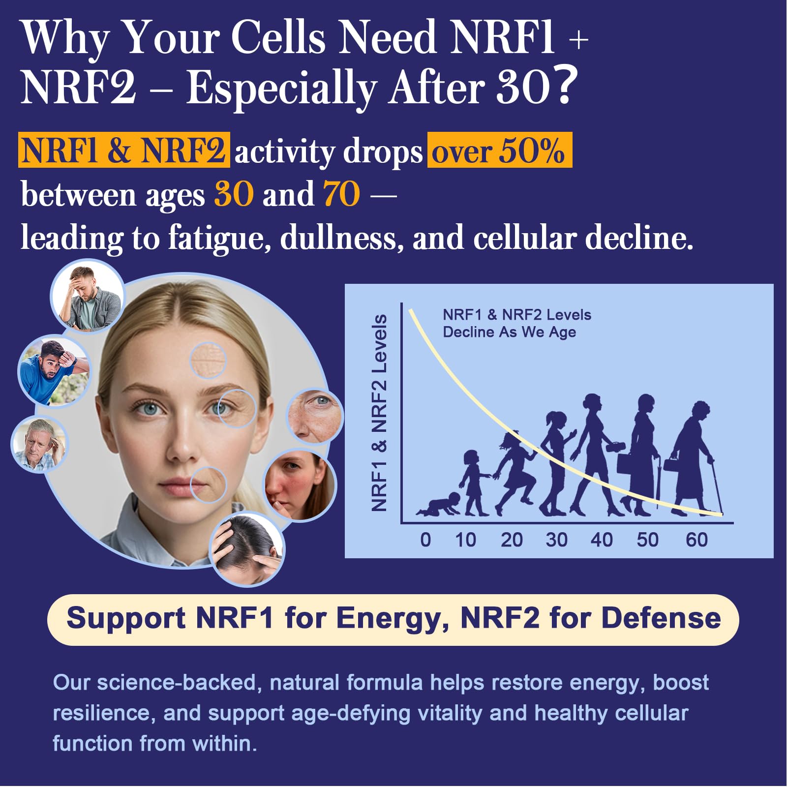 Antioxidant mitochondrial boost infographic for NRF1 and NRF2