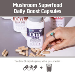 Antioxidant-rich chaga mushrooms ingredients close-up