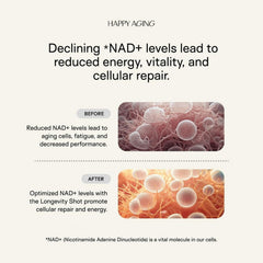 Energy boost and skin health antioxidants