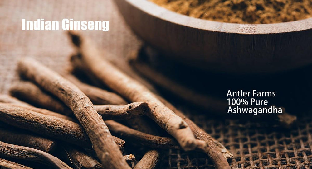 Northern India sourced Ashwagandha for clean farming