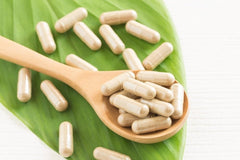 Ashwagandha extract standardized to 5% withanolides