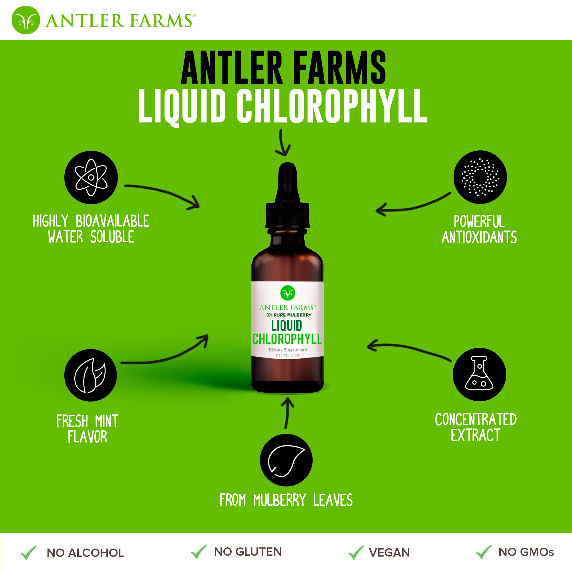 Concentrated chlorophyll extract, 2-8x stronger than leading brands