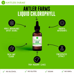 Concentrated chlorophyll extract, 2-8x stronger than leading brands