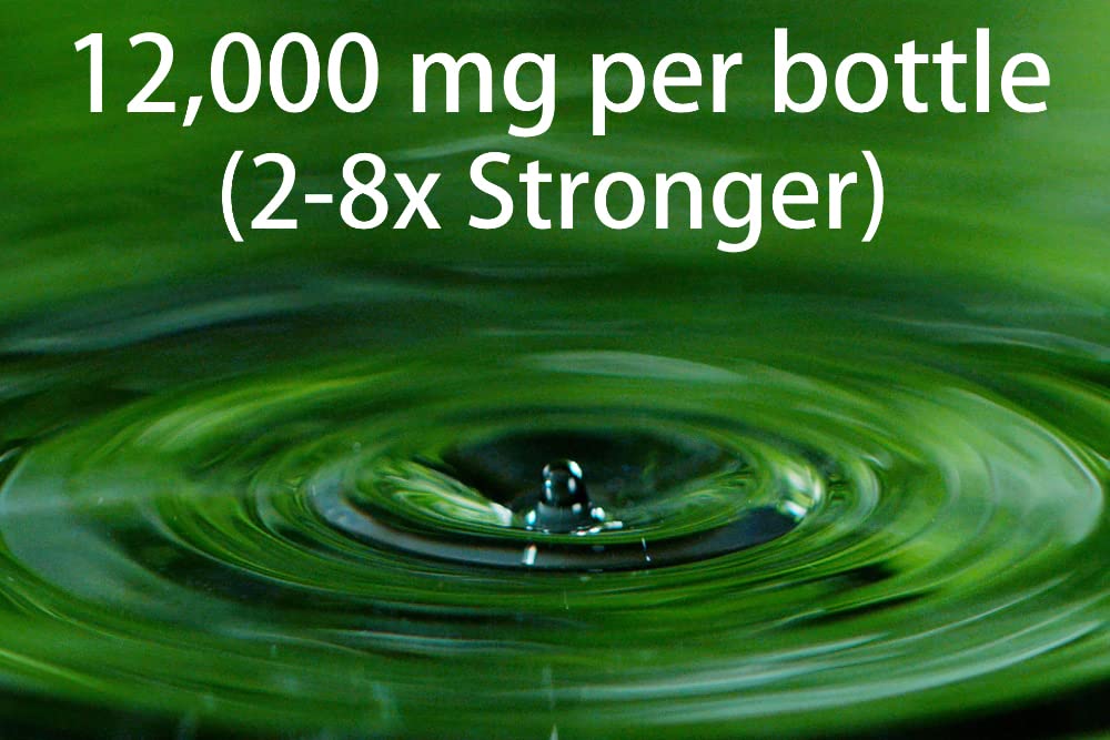 Chlorophyll sourced from white mulberry leaves
