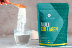 Collagen types I, II, III, V, and X