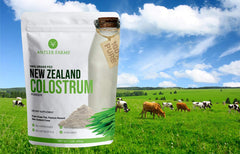 Clean sourced NZ colostrum with no hormones or antibiotics